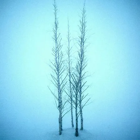 林汉姆斯酒店 酒店 拉勒夫