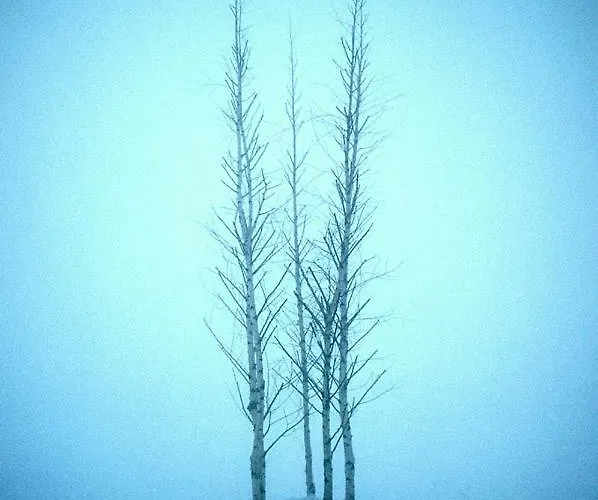 Lynhams Hotel Laragh